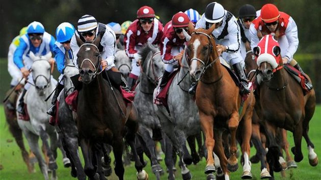 Horse Racing Results 19 March - 31 July 2014 - Daily25 Betting Blog